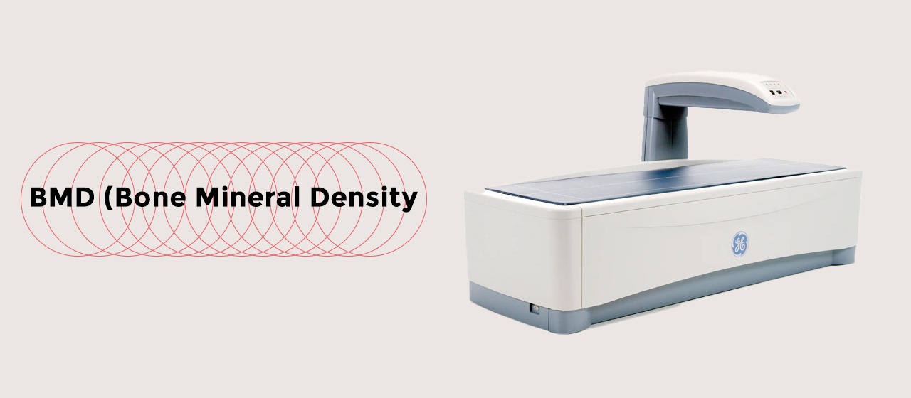 Banner for BMD Bone Mineral Density